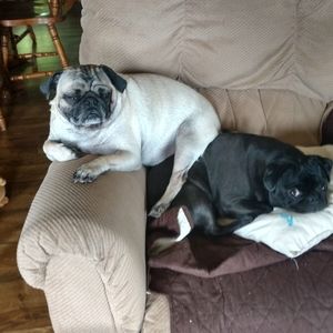 Meet your Posher, Aneta